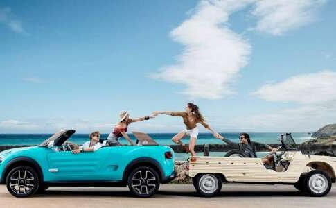 Jeunes ou seniors : Quelles sont les marques les plus privilégiées ?